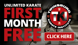 Twinsburg Karate Institute